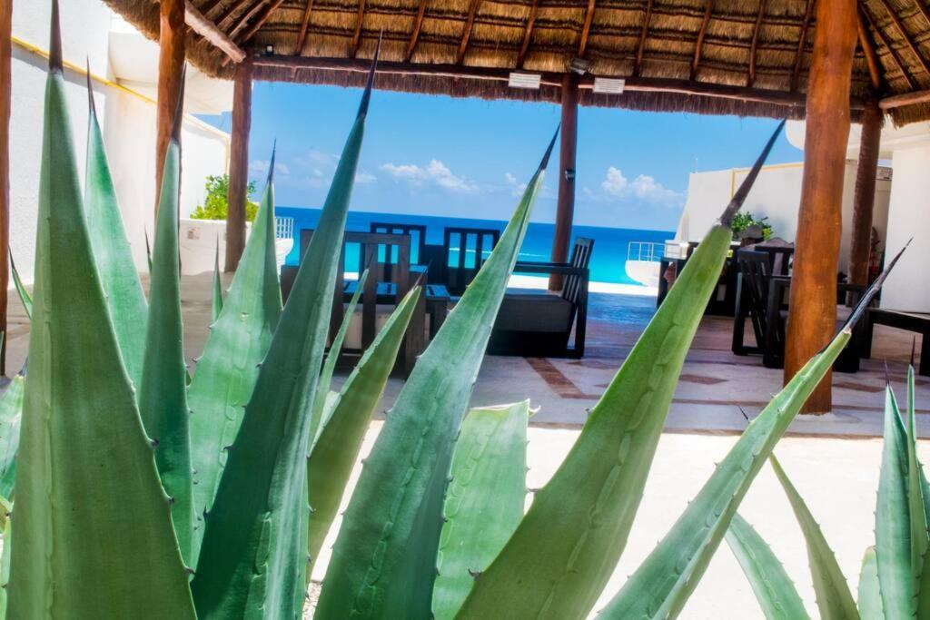 Cancun Marlin 32 Екстер'єр фото